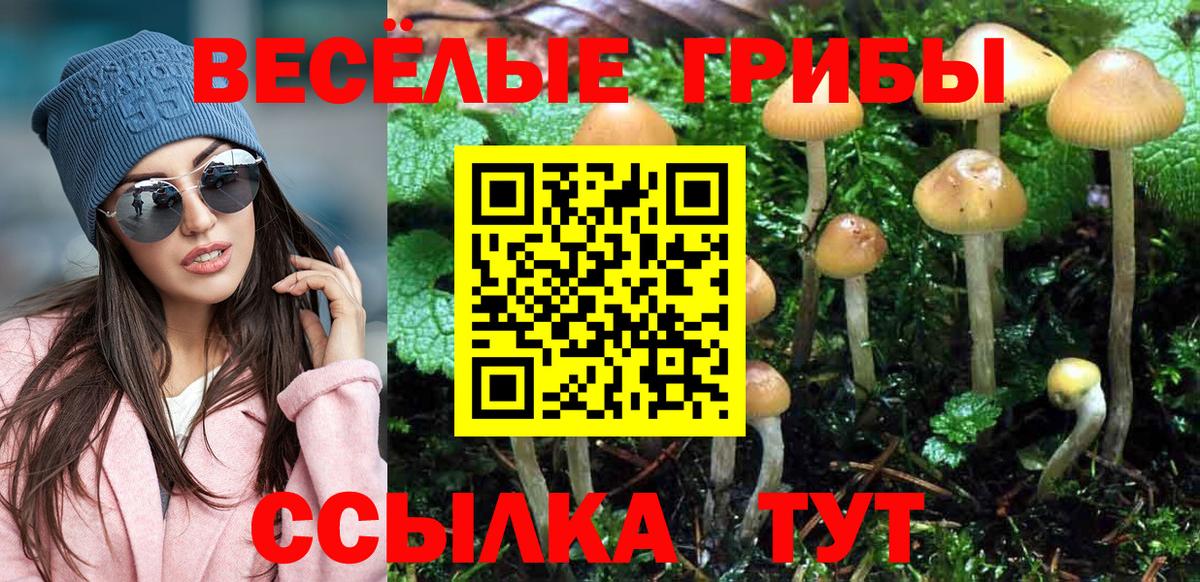 Галлюциногенные грибы GOLDEN TEACHER  Вход с VPN  Псилоцибиновые грибы мицелий  Семёнов 