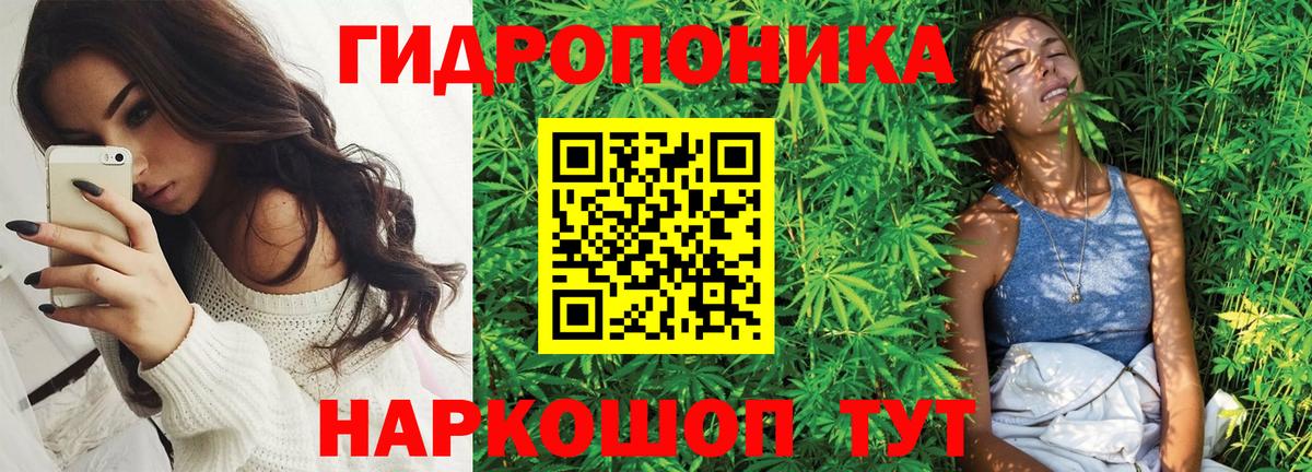 Семёнов  МАРИХУАНА OG Kush  Вход с VPN  Марихуана планчик  Канабис OG Kush 